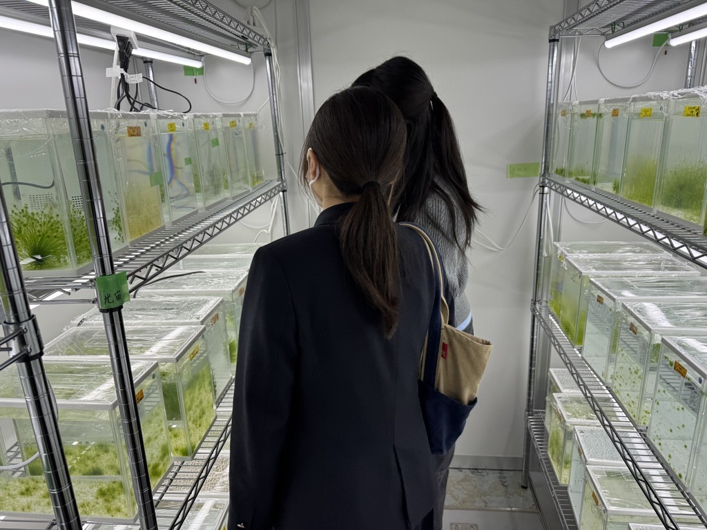 Image - 2026-03-30T112346.847